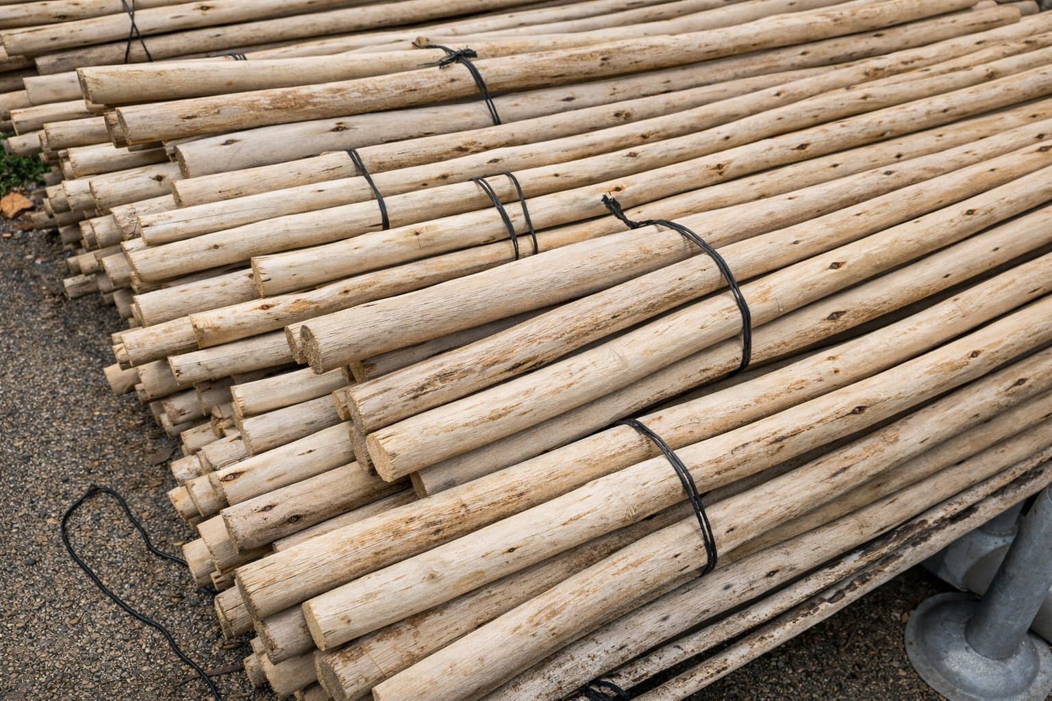 Rondins Eucalyptus Ø 25/32 mm