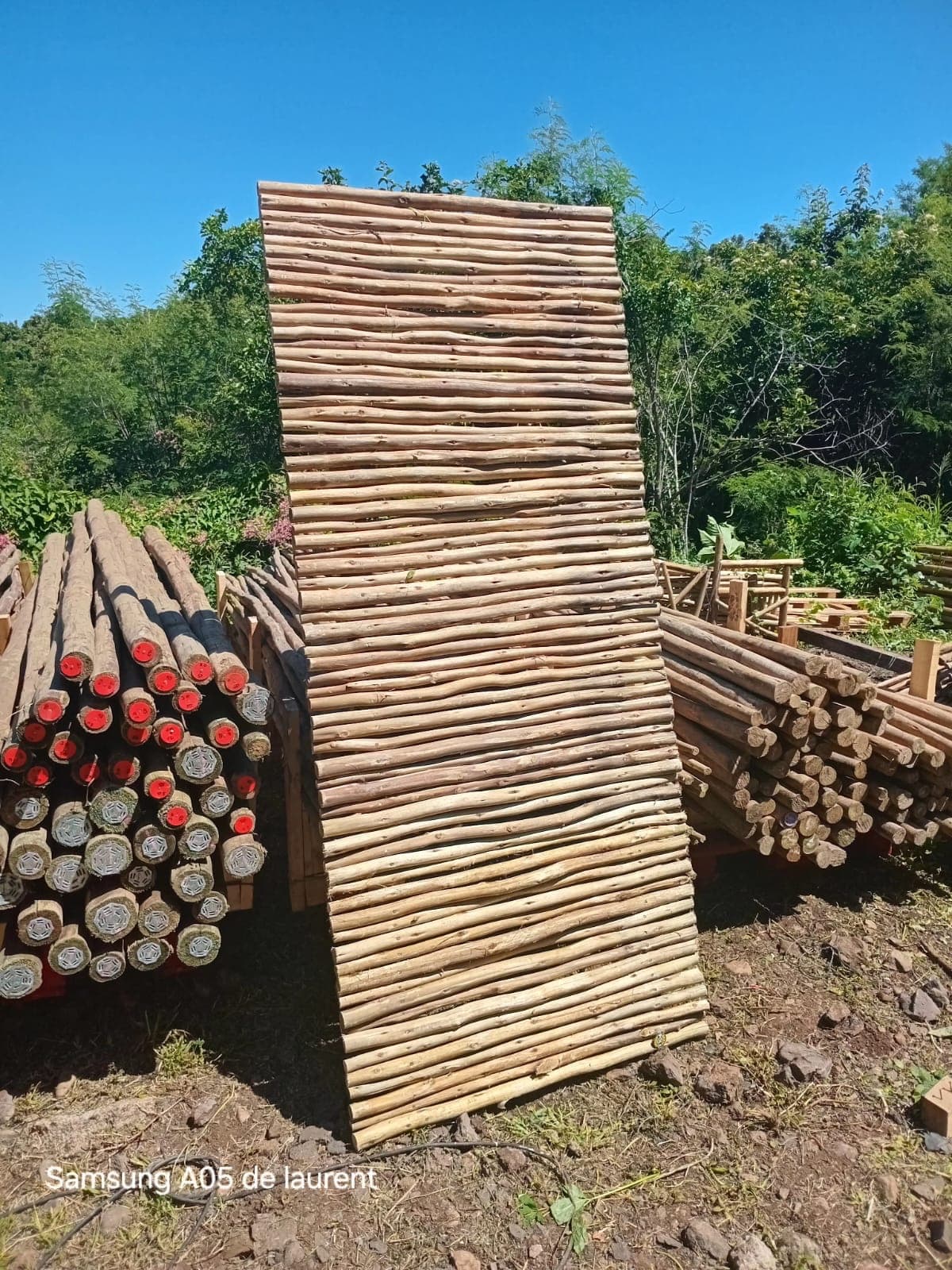 Panneau Occultant Eucalyptus 180×90 cm
