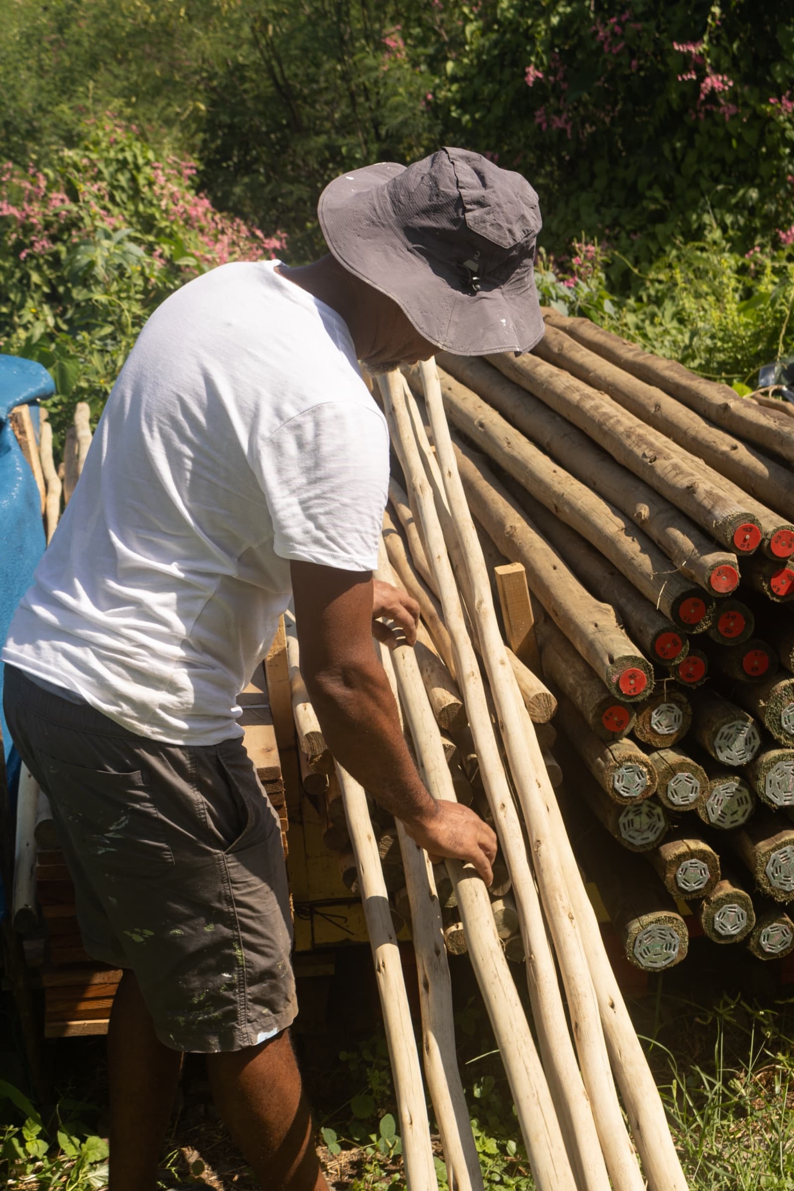 Rondins Eucalyptus Ø 50/75 mm